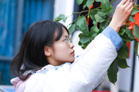 南宁众美画室其它图1
